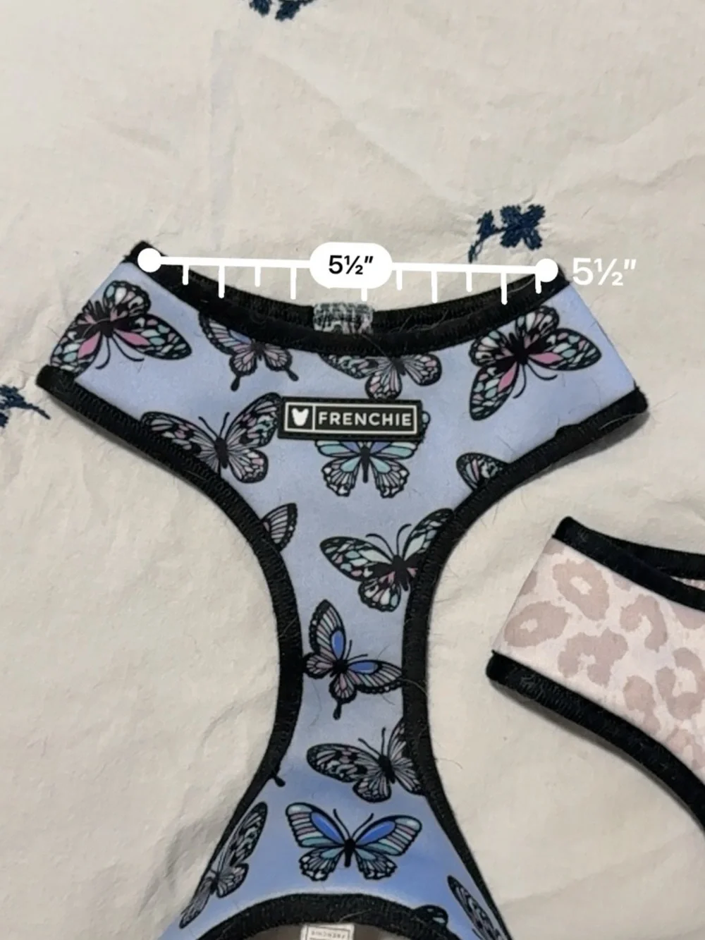 Two frenchie Harness bundle